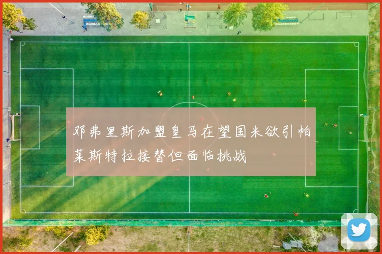 邓弗里斯加盟皇马在望国米欲引帕莱斯特拉接替但面临挑战